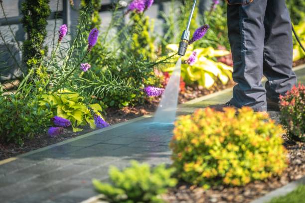 Trusted Citrus, CA Pressure Washing Services Experts