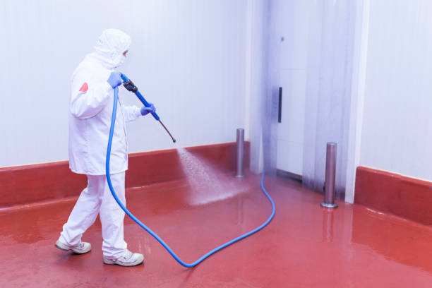 Best Patio and Deck Pressure Washing  in Citrus, CA