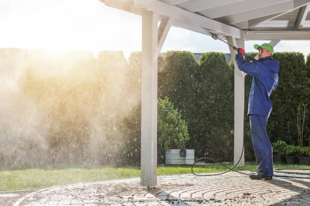 Best Driveway Pressure Washing  in Citrus, CA